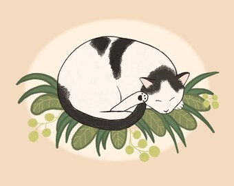 Custom Cat Portrait Illustration , Pet Portrait, Cat Illustration, Gift for Pet Lovers, Cat Art, Cat Drawing, Pet Memorial, Custom Pet Art