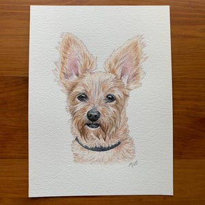 Pet Portrait, Custom Original Dog Watercolor Painting, Dog portrait, Animal Art, Personalized Dog Portrait, Dog in Watercolor