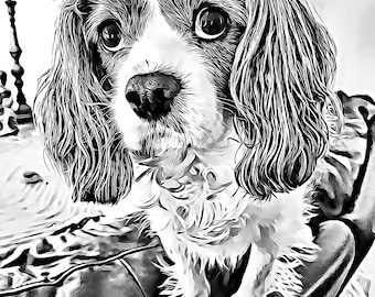 Pet Portrait