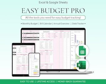 All-in-One Budget Spreadsheet Template Digital Finance Planner Excel Google Sheets Cash Organizer Bill Calendar Debt Tracker Savings Tracker