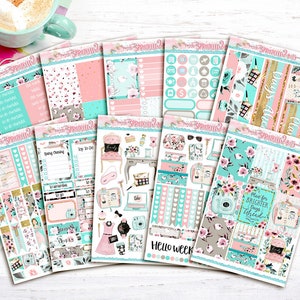 Planificar para días más brillantes por delante – Kit de pegatinas Ultimate Planner de 10 páginas – para Erin Condren Vertical y MAMBI Happy Planner-Spring/Summer