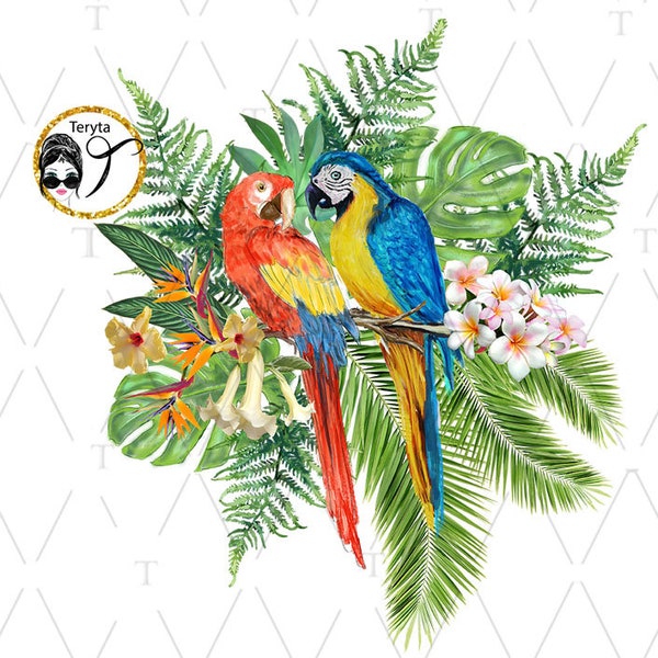 Ara parrot macaw bird animal colorful nature plumage exotic wildlife. Ara blue yellow macaw, Red yellow macaw, PNG, JPG, Card, POD, wall art