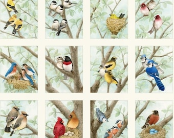 Panneau Beautiful Birds Studio d'Elizabeth. #4309