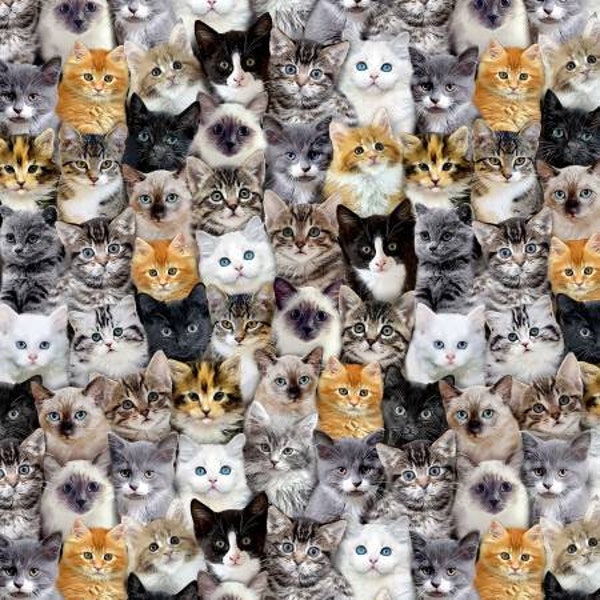 Cats by Timeless Treasures Collection. C8417. 100% Cotton Fabric by The Half Yard.