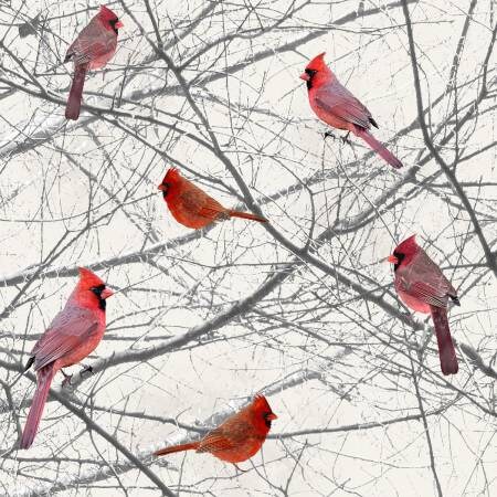 Cardinal Pajamas Etsy
