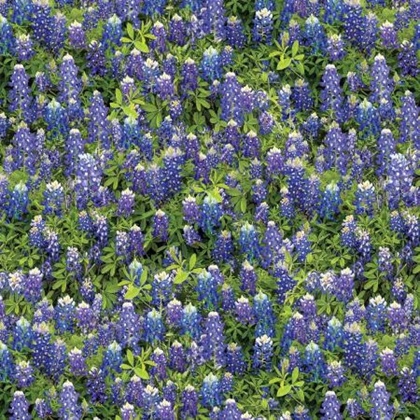 Blue Bluebonnet Flowers 14512B-55. Flowers of Friendship by Kanvas Collection. 100% Cotton Fabric by the Half Yard.