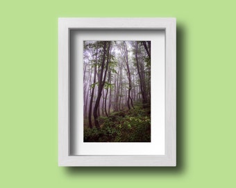 Misty Forest Photo Print, Nature Photography, Landscape Wall Decor, Foggy Woodland, Green Trees Wall Art, Home Decoration, Mountain Forest
