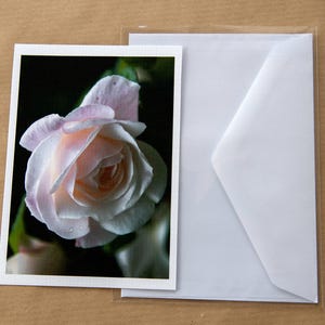 Pocztówki z różami Zestaw kart ze zdjęciami róż Wydruki fotograficzne Kartki z kwiatami w formacie A5 Format A6 Sztuka ścienna z różami Bułgarska karta z różami
