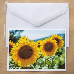 Cartes photo tournesol Impression tournesol Jeu de cartes de voeux tournesol A6 format A5 Art mural tournesol Impressions de fleurs d'été