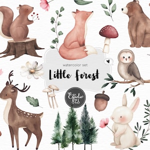 Op de afbeelding: Waterverf-illustratieset met bosdieren, waaronder een vos, een eekhoorn, een hert, een beer, een uil en een konijn. De set bevat ook paddenstoelen, eikels, bloemen en bomen. De tekst "watercolor set Little Forest" is in de afbeelding opgenomen.