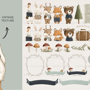 Puede incluir: Un conjunto de 36 ilustraciones digitales con animales del bosque, incluyendo un ganso, un conejo, un ciervo, un zorro y un oso. Las ilustraciones son de estilo vintage con colores y texturas apagados. El conjunto tambi&eacute;n incluye varios elementos como setas, coronas, pancartas y una maleta.