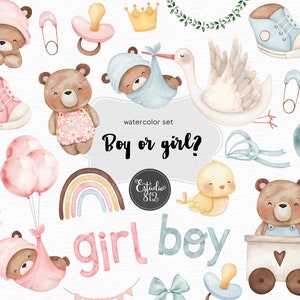 Pacchetto Clipart per ragazzo o ragazza: festa di rivelazione del sesso, orsacchiotto, uccello, cicogna - download digitale per scrapbooking e decorazioni per feste