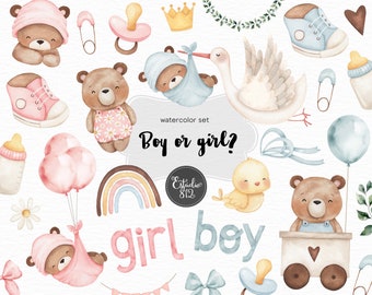 Boy or Girl Clipart Bundle: Gender Reveal Party, Teddy Bear, Bird, Stork - Digital Download for Scrapbooking and Party Decorations