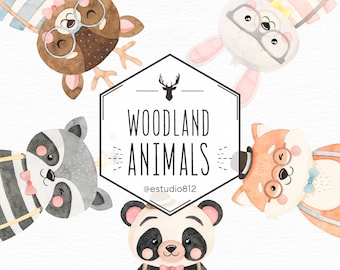 Woodland  Nursery Clipart, Woodland Animals Watercolor Clipart
