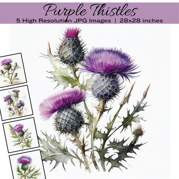 Purple Thistle Clipart Bundle, Scottish Wildflower, Prairie Thistle Wall Art, Bedroom Decor, Printable Flower, Papercraft, Commercial Use