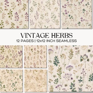 May include: A collection of vintage herb-themed digital papers. The papers feature various botanical designs with leaves and flowers in shades of green, purple, and beige. The text "VINTAGE HERBS" and "12 PAGES | 12x12 INCH SEAMLESS" are displayed.