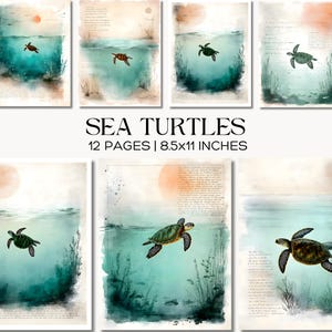 May include: A collection of watercolor art prints featuring sea turtles swimming in a turquoise ocean. Each print has a soft, vintage aesthetic with a sun and subtle text elements. The prints are 8.5x11 inches.