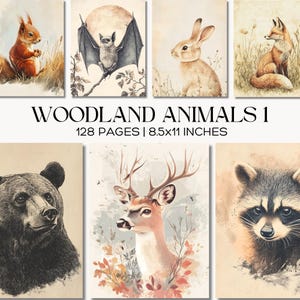 May include: A collection of watercolor illustrations of woodland animals, including a squirrel, bat, rabbit, fox, bear, deer, and raccoon. The text "WOODLAND ANIMALS 1" is displayed above the text "128 PAGES | 8.5x11 INCHES".