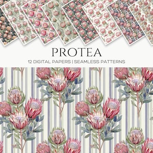 Protea Bloom, exotische Blume nahtlose Muster, DIY Geschenkpapier Floral, Oberflächenmuster, Kontinuierlich drucken Sie digitales Papier, Hintergründe
