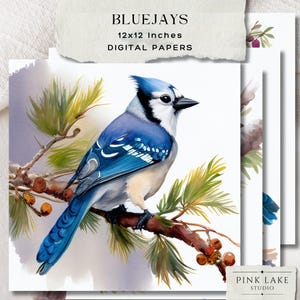 Kit de journal indésirable Bluejay, oiseau éphémère imprimable, paquet de papier vintage oiseau bleu, papier de scrapbooking nature, téléchargement collage numérique