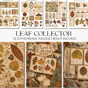 May include: A collection of 12 ephemera pages titled Leaf Collector, measuring 8.5x11 inches. The set features various printed sheets with botanical illustrations of leaves, trees, landscapes, tags, labels, and envelopes in earthy autumn tones.