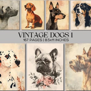 Pages de journal chien vintage, paquet de papier imprimable races de chiens, papiers numériques d'art chien antique, éphémères de journal indésirable, kit de scrapbooking pour animaux de compagnie JPG