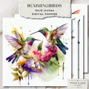 Papel digital de beija-flores esvoaçantes, padrão sem emendas de pássaros coloridos, fundos de aquarela tropicais, arte para impressão de diário de scrapbook