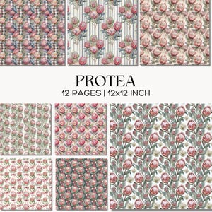 May include: A collection of Protea floral pattern designs. The designs feature pink and green protea flowers on various backgrounds, including stripes and plaid. The text "PROTEA" and "12 PAGES | 12x12 INCH" is displayed.