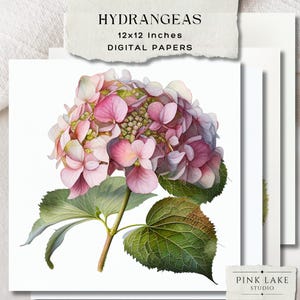 Bundle de cliparts hortensia rose, fleurs aquarelles imprimables pour scrapbooking, fabrication de cartes, carnets indésirables et travaux manuels, lot de 5 impressions florales