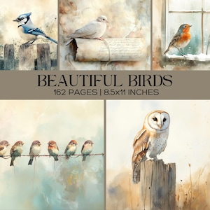 Pages de journal indésirable aquarelle beaux oiseaux, éphémères d'oiseaux vintage, kit de scrapbooking numérique, imprimables inspirés de la nature, feuilles de collage d'oiseaux