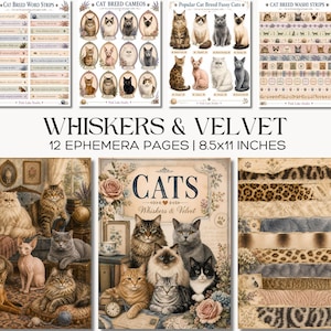 Könnte beinhalten: Ein Set aus 12 Ephemera-Seiten mit dem Titel Whiskers & Velvet, Maße 21,6x27,9 cm. Das Set enthält Bögen mit Katzen-Wortstreifen, Kameen, Ausschneidebögen und Washi-Streifen sowie dekorative Seiten mit verschiedenen Katzenillustrationen.
