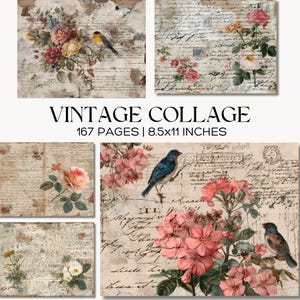May include: Vintage collage sheets featuring floral arrangements, birds, and handwritten script. The sheets are in various sizes, with the largest being 8.5x11 inches. The text on the image reads "VINTAGE COLLAGE" and "167 PAGES | 8.5x11 INCHES."
