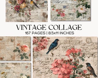 Papier cyfrowy do kolażu w stylu vintage, drukowane wiktoriańskie efemerydy, zestaw do dziennika śmieci z nadrukami ptaków