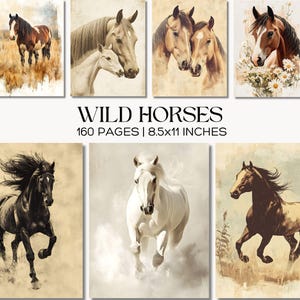 May include: A series of art prints showcasing horses in different settings and colours. The prints depict horses in fields, close-ups of horse faces, and running horses. The text "WILD HORSES" is visible, along with "160 PAGES | 21.6x28 cm".