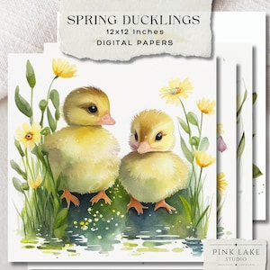 Papere digitali di anatroccoli primaverili, clipart di anatroccoli acquerello da 12x12", sfondi pasquali, carte per album di ritagli di animali carini, download istantaneo