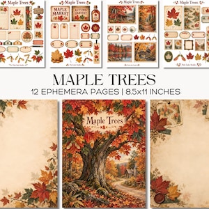 May include: A collection of 12 ephemera pages titled Maple Trees, measuring 8.5x11 inches. The set features various autumn-themed designs, including maple leaves, forest landscapes, rustic cabins, and decorative labels in warm orange, red, and brown tones.