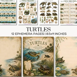 May include: A collection of 12 ephemera pages measuring 8.5x11 inches featuring turtle-themed designs. The set includes washi strips, treasure cutouts, and word strips with illustrations of turtles, shells, and coastal landscapes in a vintage style.