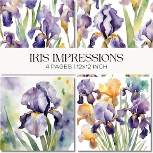 Könnte beinhalten: Aquarellkunstwerk mit Schwertlilien in Lila, Gelb und Grün. Das Bild zeigt vier Tafeln mit dem Text "IRIS IMPRESSIONS" und "4 PAGES | 30x30 CM". Das florale Design ist vor einem weißen Hintergrund.