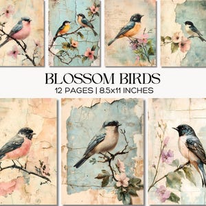 Puede incluir: Una colección de láminas artísticas en acuarela con aves posadas en ramas florecidas. Las láminas tienen una estética vintage con un fondo envejecido. Se muestra el texto "BLOSSOM BIRDS", junto con "12 PAGES | 8.5x11 INCHES".