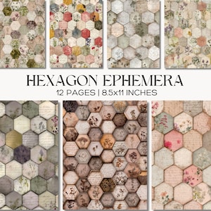 Könnte beinhalten: Eine Sammlung von sechseckigen Ephemera-Seiten mit floralen und botanischen Designs. Die Seiten weisen eine Vielzahl von Farben auf, darunter Beige, Rosa und Grün. Der Text "HEXAGON EPHEMERA" und "12 PAGES | 8,5x11 INCHES" sind angezeigt.