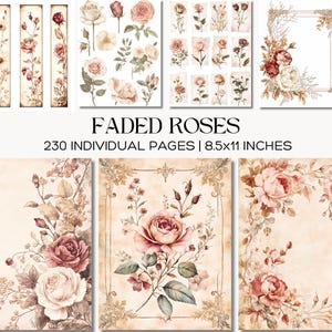 Può includere: Una collezione digitale intitolata FADED ROSES contenente 230 pagine individuali di 21,59x27,94 cm. Le pagine presentano varie illustrazioni di rose in tonalità rosa, crema e marrone, inclusi bordi floreali, cornici e composizioni botaniche.