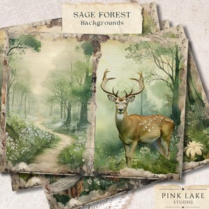 Pagine di diario Sage Forest Junk, animali vintage del bosco, kit di diario stampabile, effimeri della natura rustica, carte per album di ritagli digitali della foresta