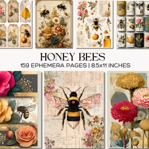 Può includere: Una collezione di 159 pagine di efemeridi con illustrazioni vintage di api, fiori ed elementi botanici. Le pagine misurano 21,59 cm x 27,94 cm e includono etichette, opere d'arte incorniciate e stampe decorative. La tavolozza dei colori comprende beige, giallo, rosa e oro.