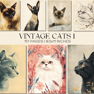 Impressions vintage de chats, pages éphémères félines anciennes, kit de journal indésirable avec des chats victoriens fantaisistes, pages de chats imprimables pour travaux manuels