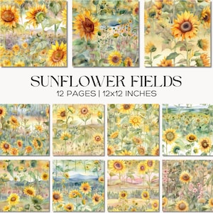 Cyfrowy wzór pola słoneczników, papier do scrapbookingu z motywem letnich kwiatów (do pobrania w wersji cyfrowej)