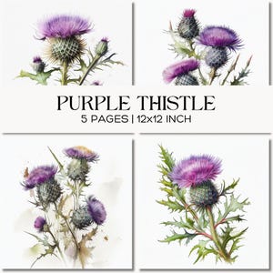Scottish Thistle Watercolor Digital Paper, Purple Wildflower Scrapbook Backgrounds, Rustic Scottish Floral Ephemera, Junk Journals & Crafts