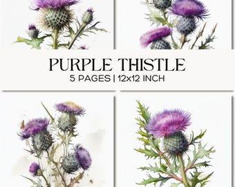 Schotse distel aquarel digitaal papier, paarse wilde bloemen plakboekachtergronden, rustieke Schotse bloemen, rommeltijdschriften en ambachten