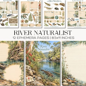 Op de afbeelding: Een set van 12 River Naturalist ephemera-pagina's van 21,6x27,9 cm, met aquarelillustraties van rivierflora, fauna, insecten en dieren in het wild, naast gelinieerd briefpapier en decoratieve labels met motieven in een natuurthema.