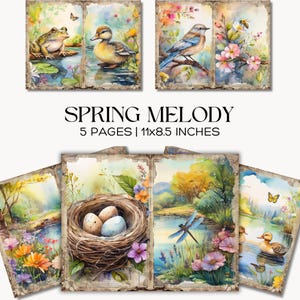 Pages imprimables pour le journal indésirable Spring Melody, papiers nature aquarelle, oiseaux canards grenouilles fleurs sauvages
