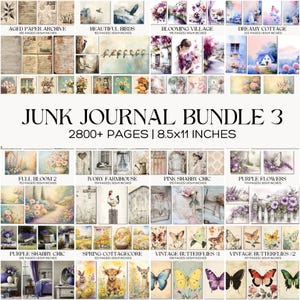 May include: A collection of digital junk journal pages with various themes, including aged paper, birds, flowers, and butterflies. The bundle includes over 2800 pages, each 8.5 x 11 inches. The image displays several themed sets with watercolor illustrations.